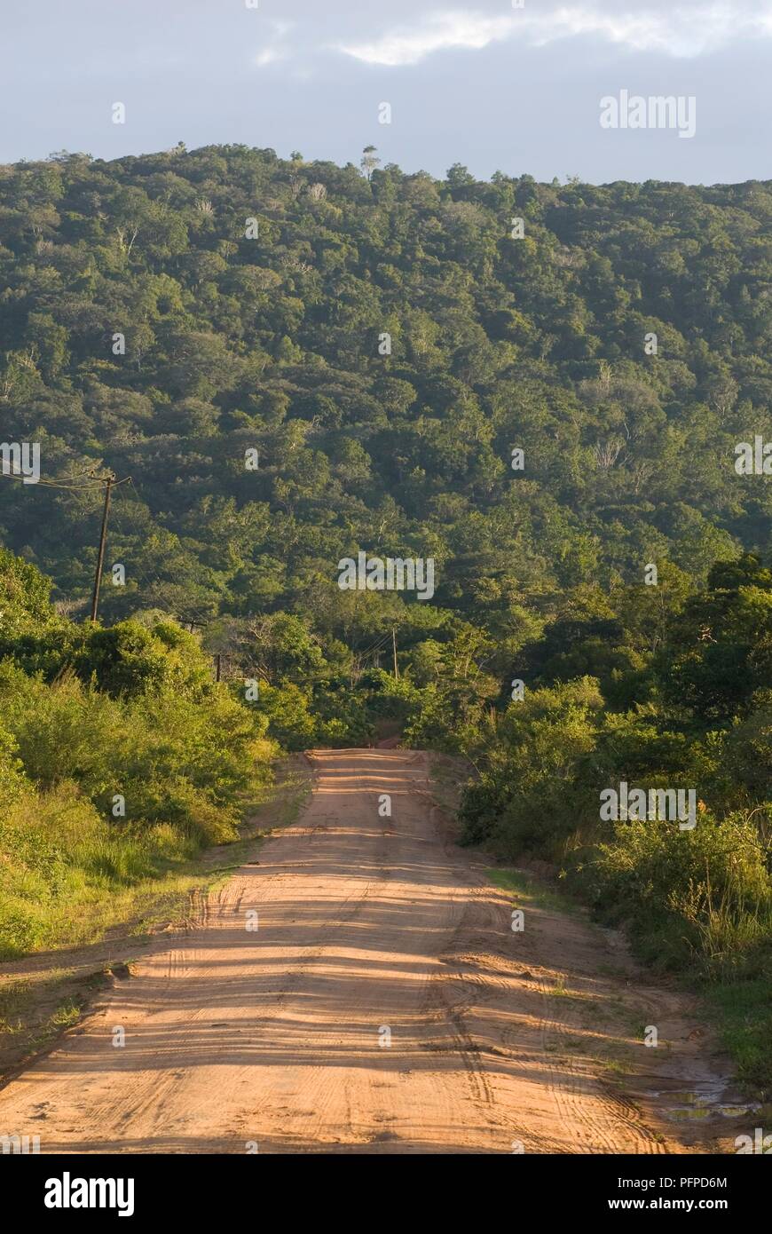 Au Kenya, le site Shimba Hills National Reserve, chemin de terre à travers la campagne verdoyante et vallonnée Banque D'Images