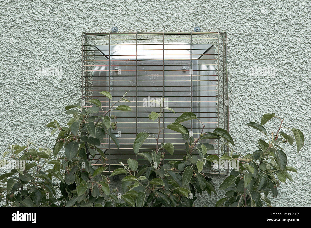 Cheminée chaudière moderne avec grille de métal sur mur extérieur de maison obstrué par la végétation Banque D'Images