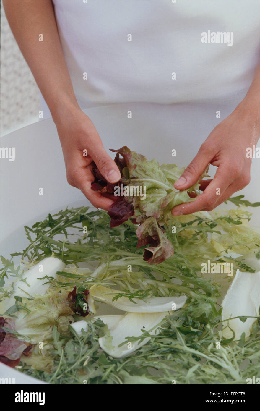 Lave-mixed salad leaves, close-up Banque D'Images