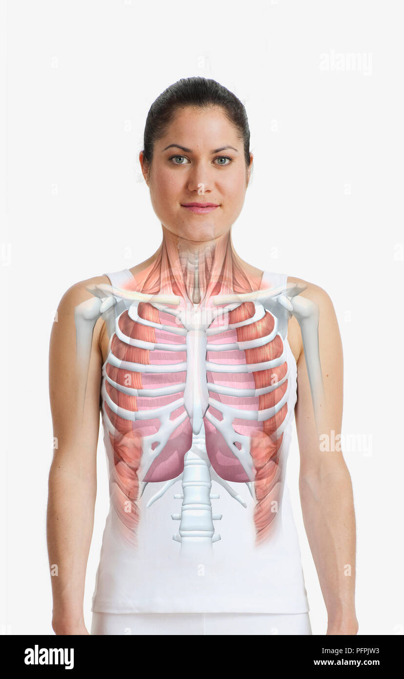 Cage thoracique et les poumons en surimpression sur le corps de la femme, vue de face Banque D'Images