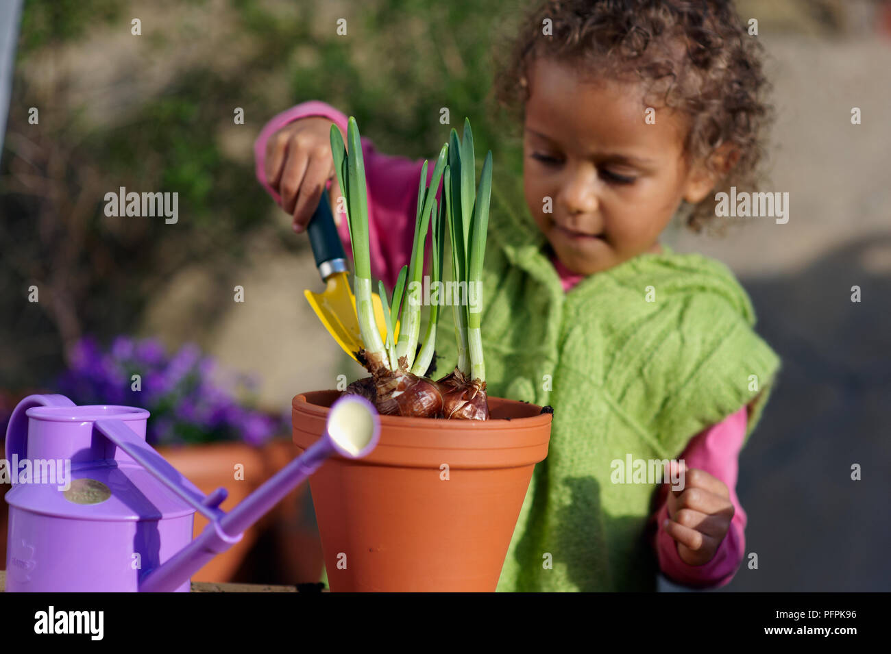 Girl (3,5 ans) truelle tenue à côté de cache-pot contenant des bulbes de jonquilles Banque D'Images