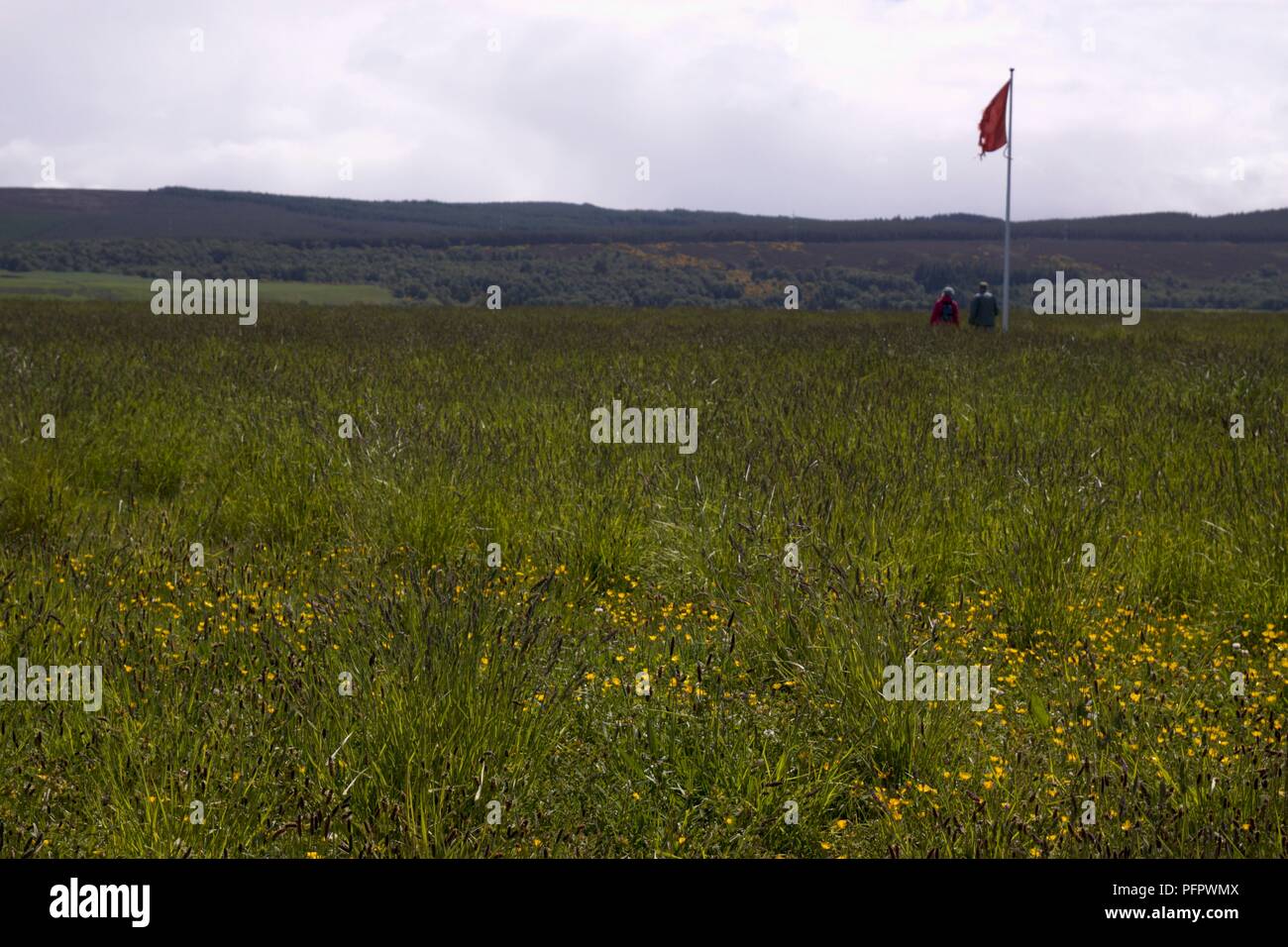 L'Ecosse, deux personnes debout près de drapeau sur le champ de bataille de Culloden Banque D'Images