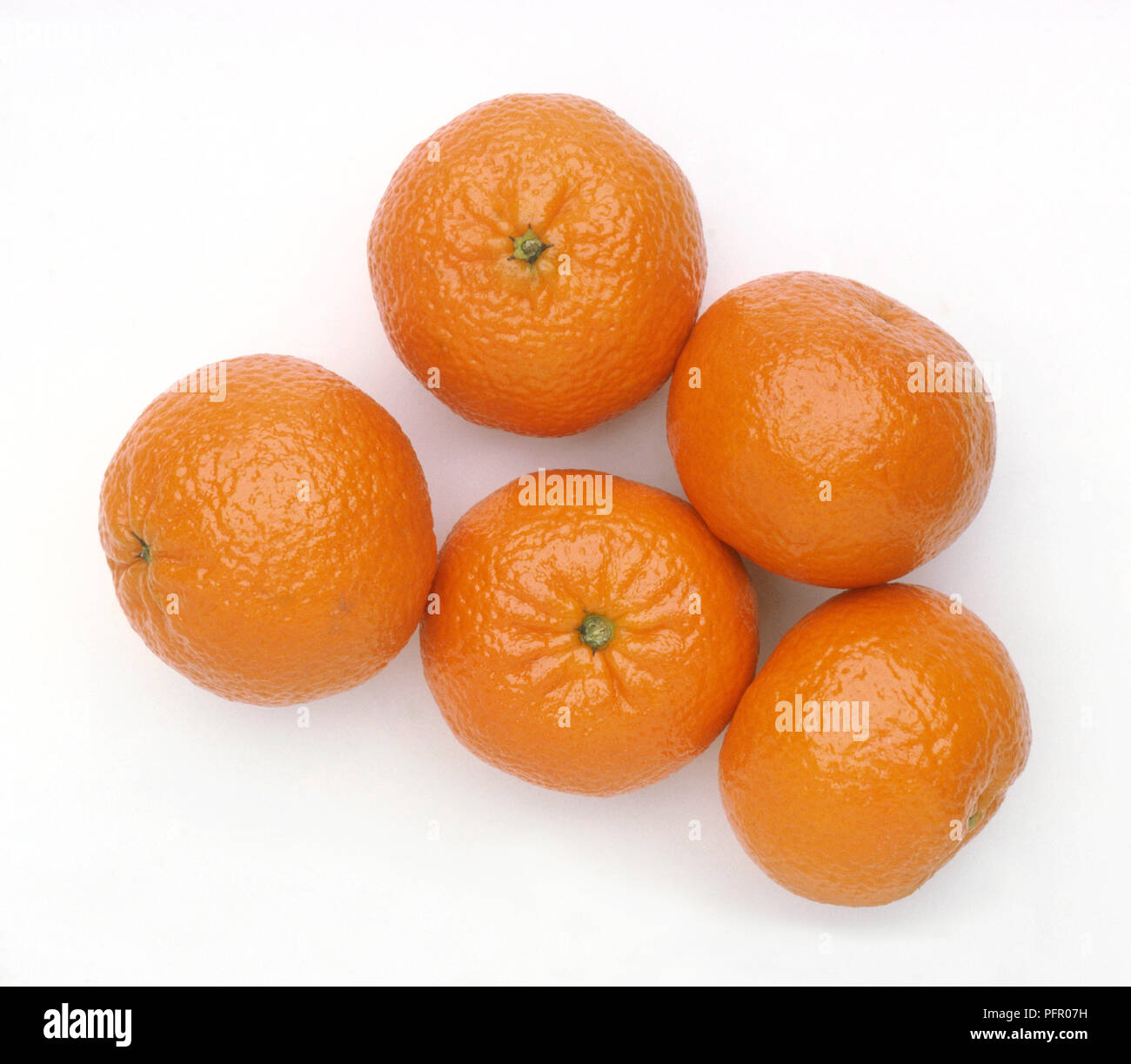 Citrus reticulata 'Clémentine' (Mandarines Clémentines) Banque D'Images