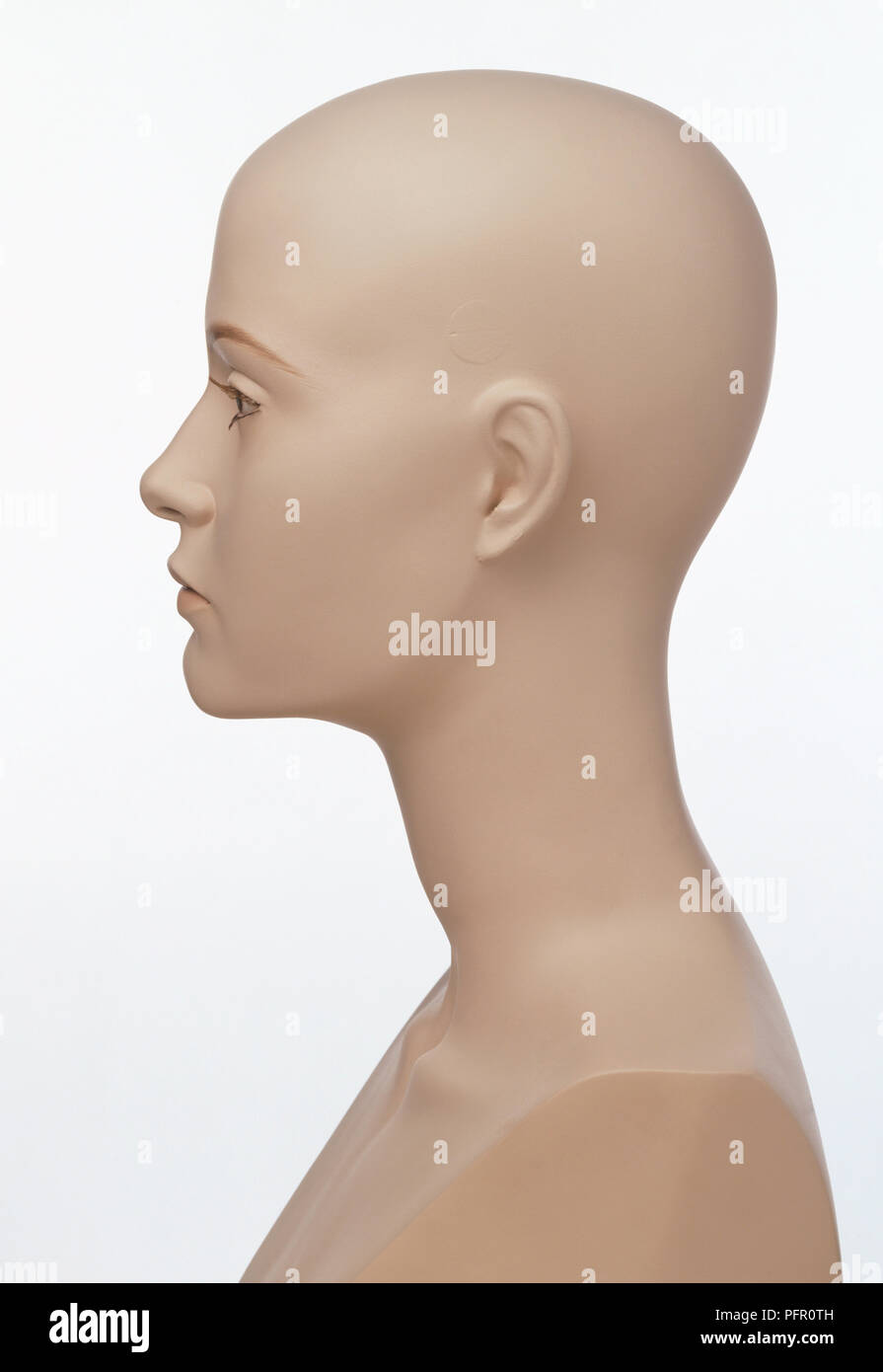 Buste de femme à la tête et des épaules Banque D'Images