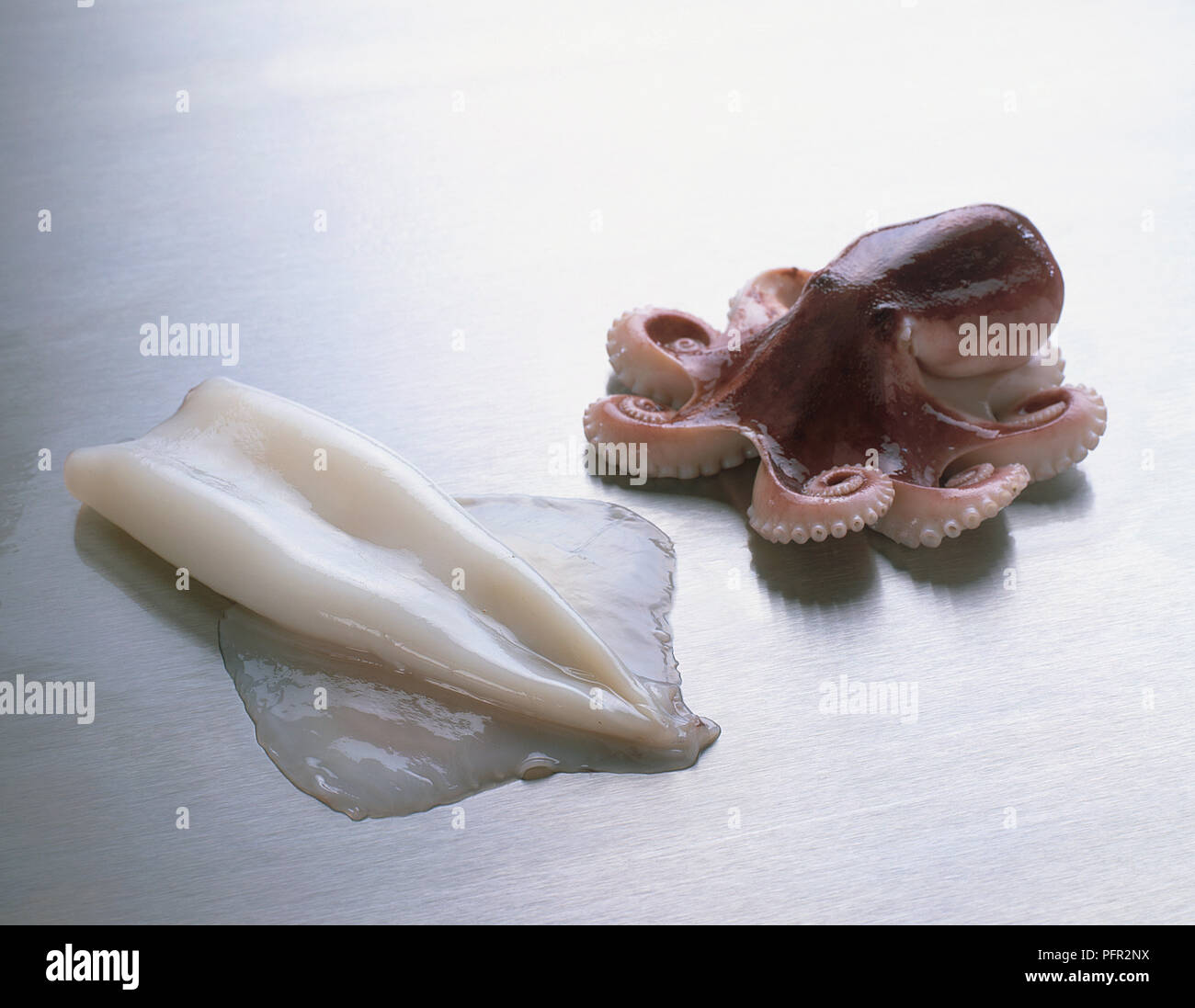 Calmar Frais Et Bebe Octopus Sur Plan De Travail De Cuisine En Acier Inoxydable Photo Stock Alamy