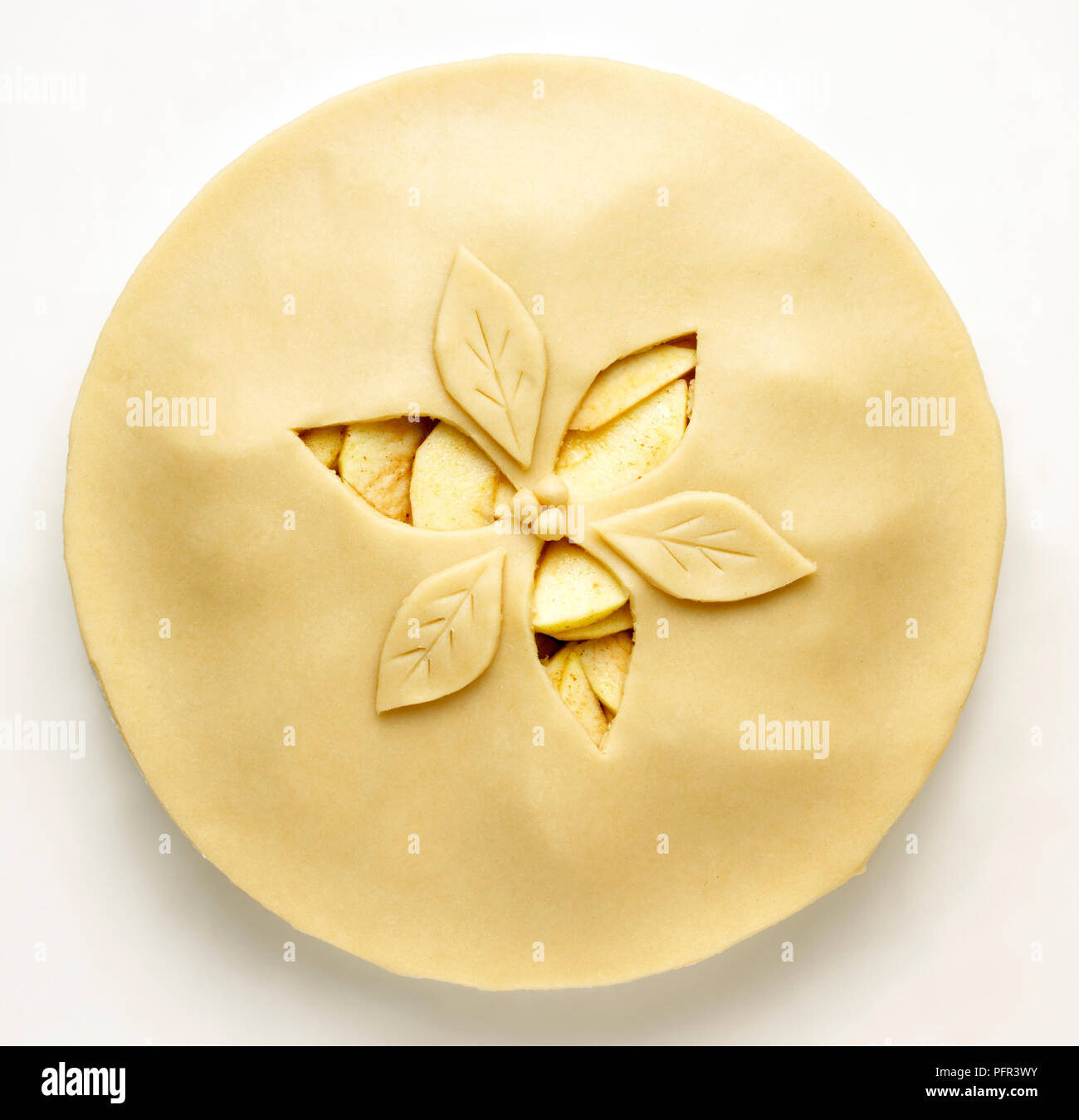 Graphique avec motif de feuilles ou fleurs coupées dans la croûte Banque D'Images