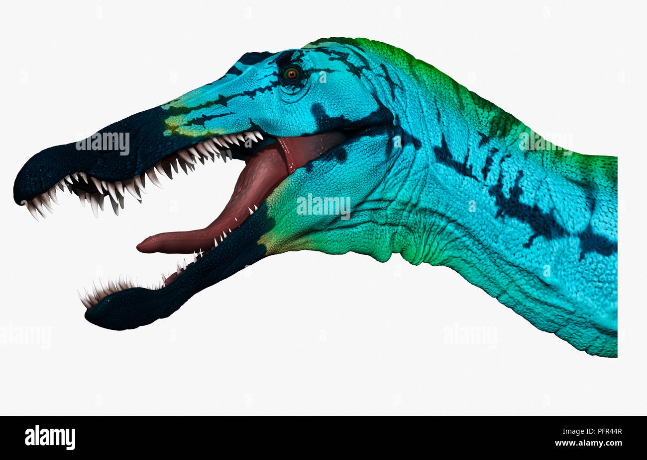 Suchomimus, illustration numérique Banque D'Images