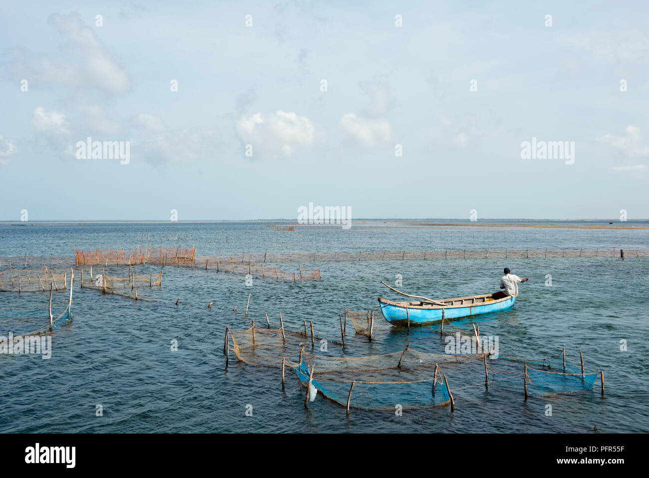 Sri Lanka, département du Nord, Jaffna, Kayts, pêcheur pêche en mer Banque D'Images