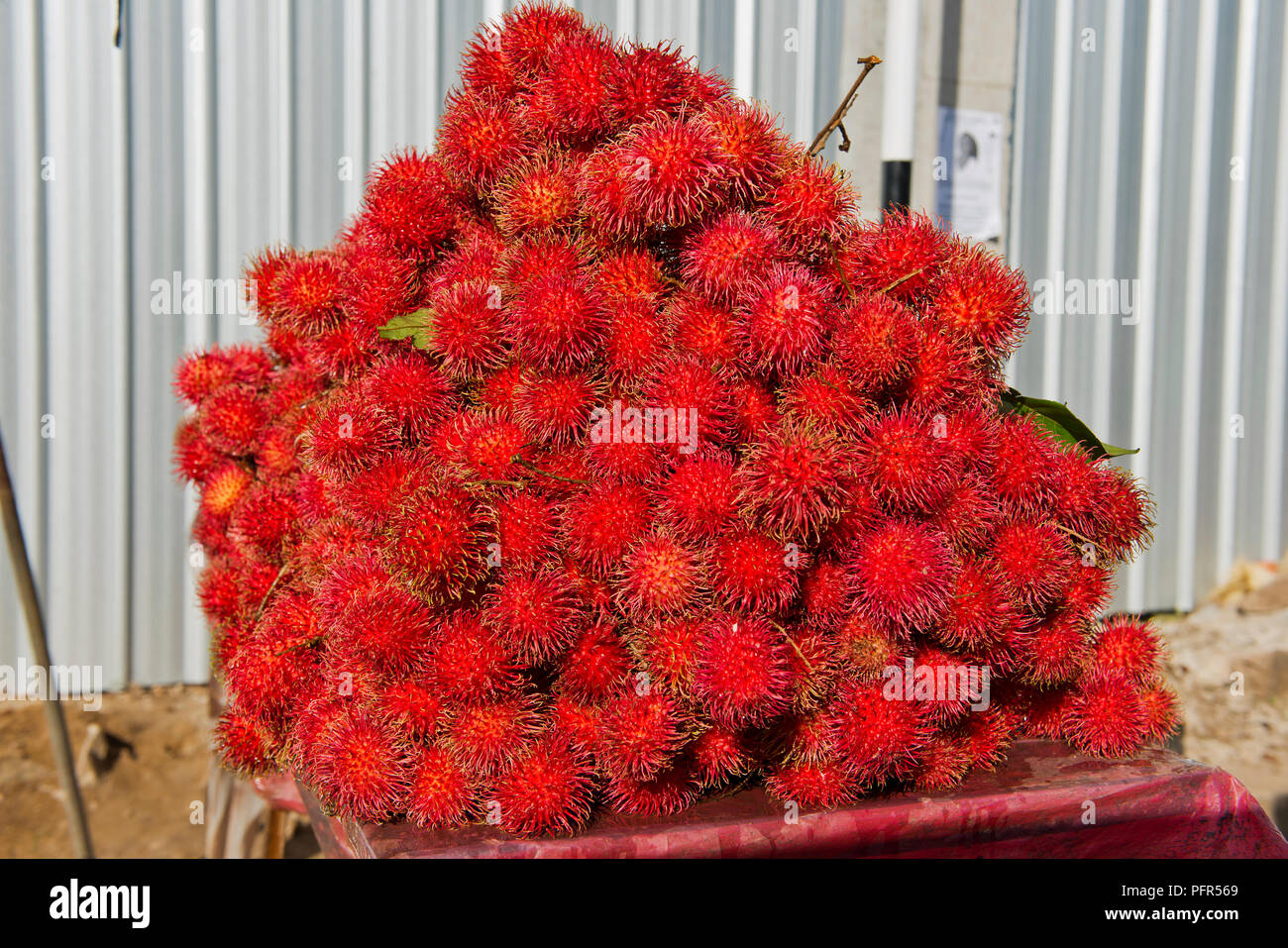 Sri Lanka, Province de l'Ouest, Colombo, Ja-Ela, tas de fruits ramboutan Banque D'Images