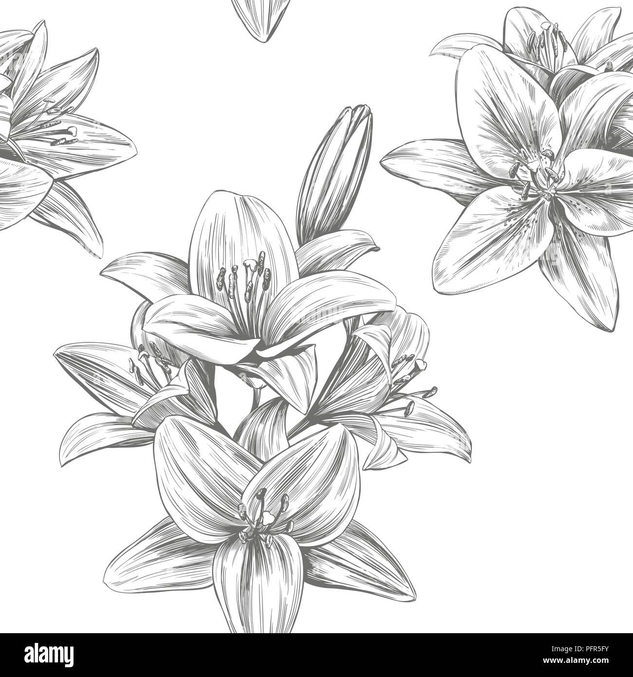 Lys en fleur floral vector illustration hand drawn vector illustration croquis réalistes Illustration de Vecteur