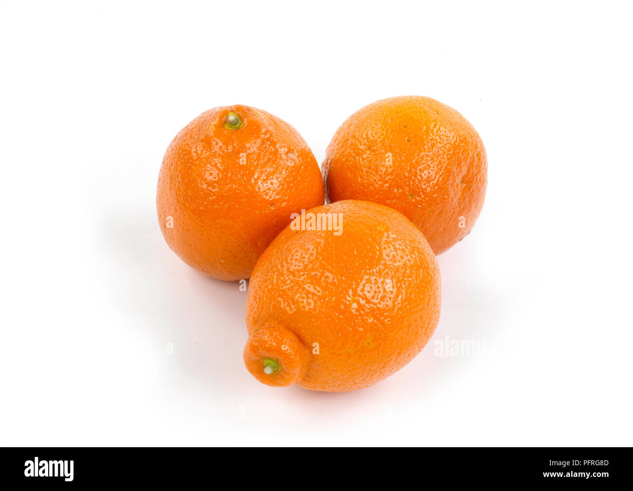 Ensemble de trois oranges de Jaffa Banque D'Images