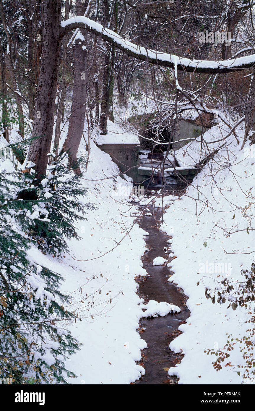 L'Autriche, Vienne, Schreiberbach ruisseau coule à travers la neige Banque D'Images