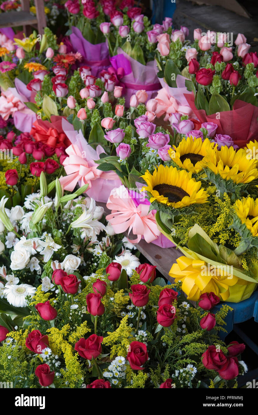 Mexique, Ville de Mexico, des fleurs colorées pour la vente au marché Mercado la Jamaïque (Jamaica), close-up Banque D'Images