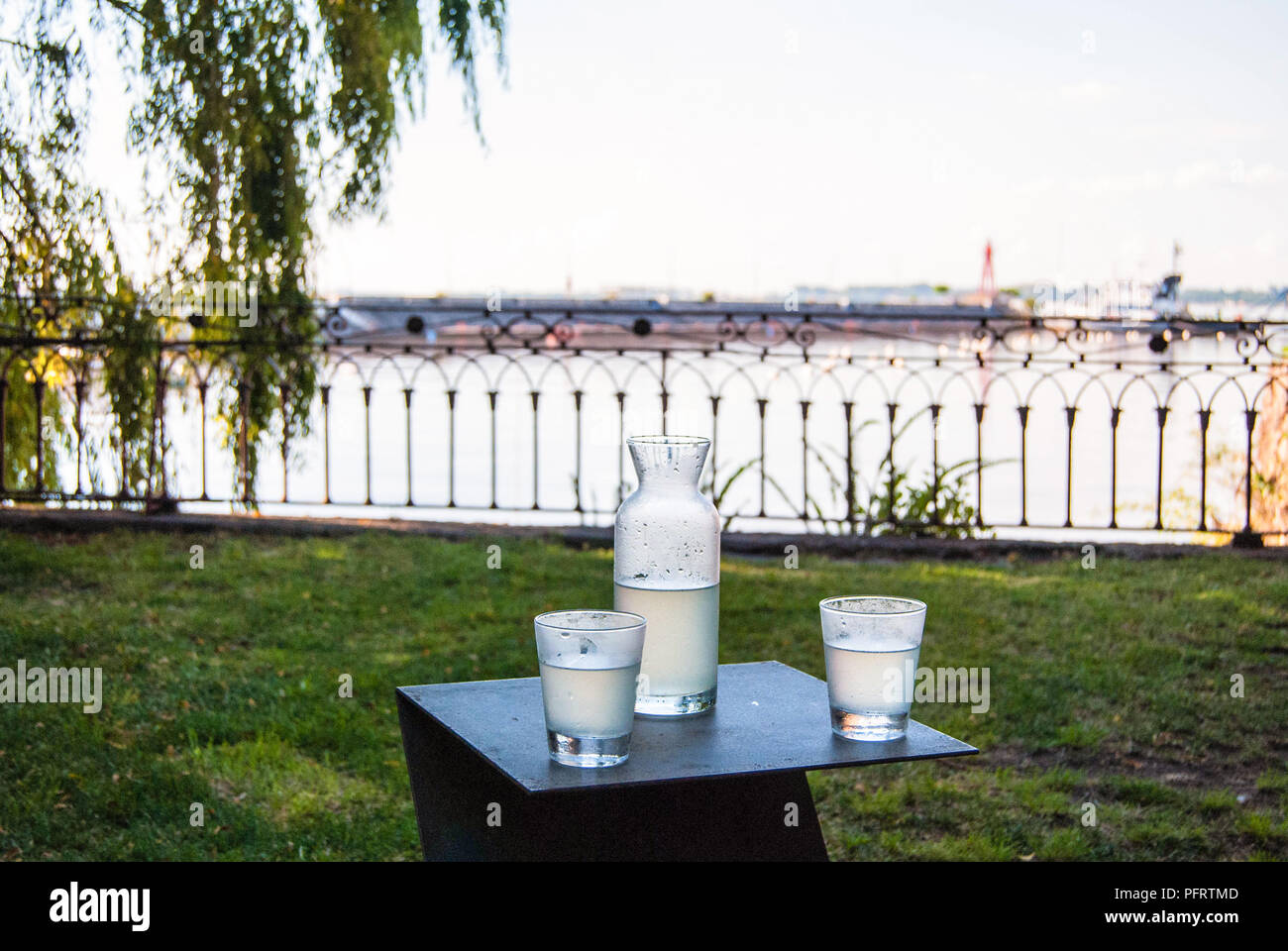Une bouteille et deux verres d'une boisson fraîche dans un tableau à l'extérieur par l'eau Banque D'Images