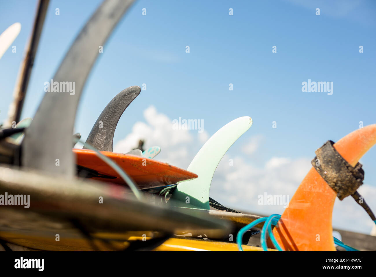 Fin des surf longboard avec surf leash prêt à louer. S'amuser sur de grosses vagues en plein océan. Vie familiale moderne, les gens d'un sport d'eau Banque D'Images