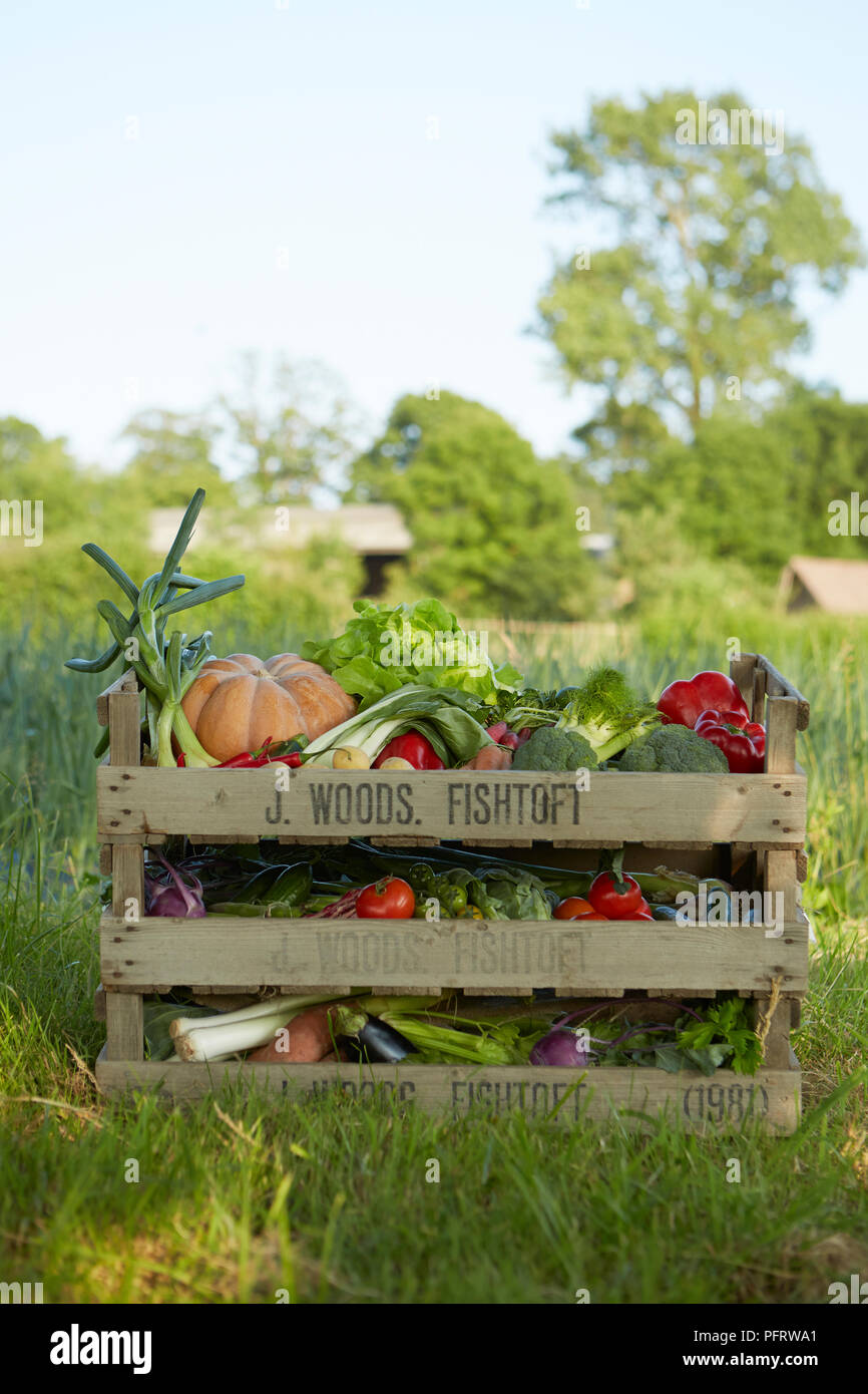 Caisses de légumes organiques mélangés dans un paysage Banque D'Images