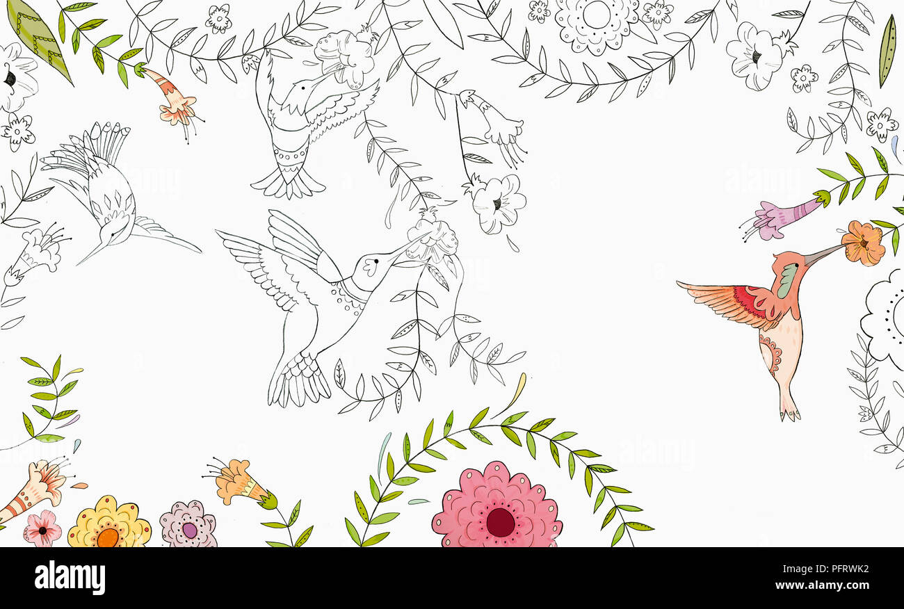 Illustration des colibris Banque D'Images