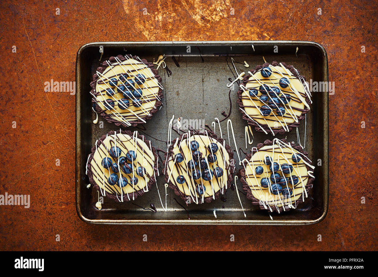 Tartelettes au chocolat blanc et aux bleuets Banque D'Images