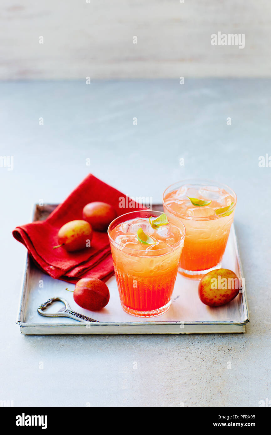 D'autres arbustes Chili prune Banque D'Images