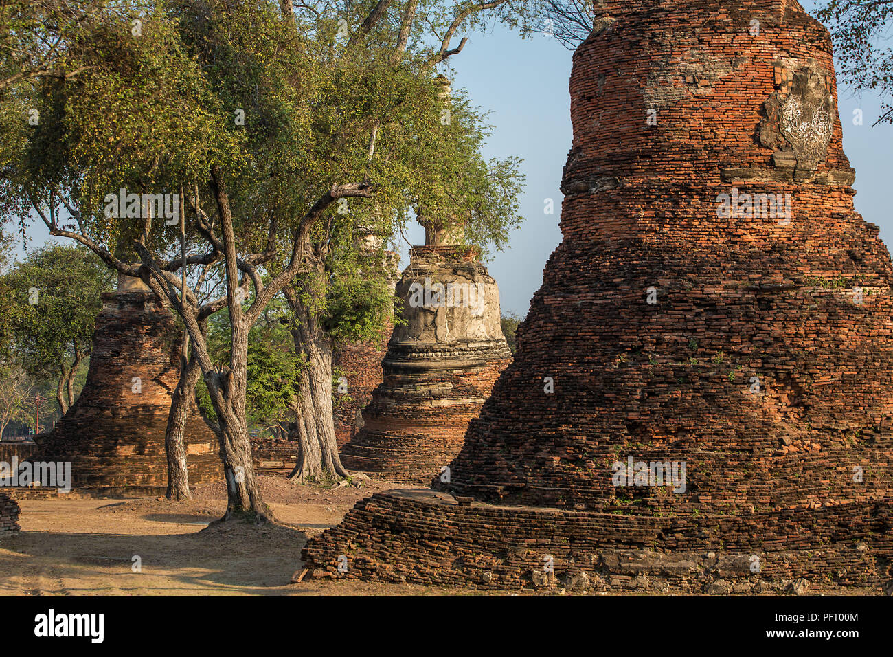 Wat Phra Si Sanphet Temple dans le parc historique d'Ayutthaya, Thaïlande Banque D'Images