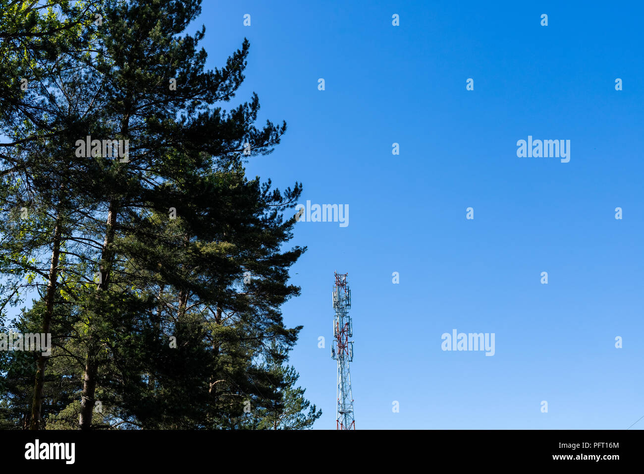 Tour de l'antenne de communication énorme et paraboles contre le ciel bleu.tour de télécommunication de cellules pour les communications mobiles sans fil tours téléphone.L'intensité du signal aide.Copy space Banque D'Images
