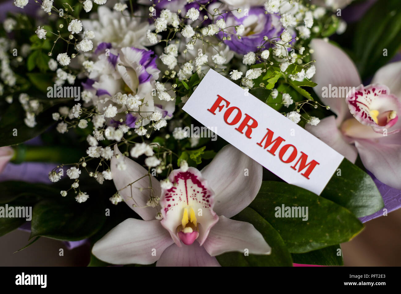 Concept De La Fete Des Meres Carte Postale Avec Des Fleurs Colorees Bonne Fete Des Meres Carte De Souhaits De Bouquet De Fleurs Differentes Et D Orchidees Composition Fleurs De Fete Photo Stock Concept De La Fete Des Meres Carte Postale Avec Des Fleurs Colorees Bonne Fete Des Meres Carte De Souhaits De Bouquet De Fleurs Differentes Et D Orchidees Composition Fleurs De Fete Photo Stock