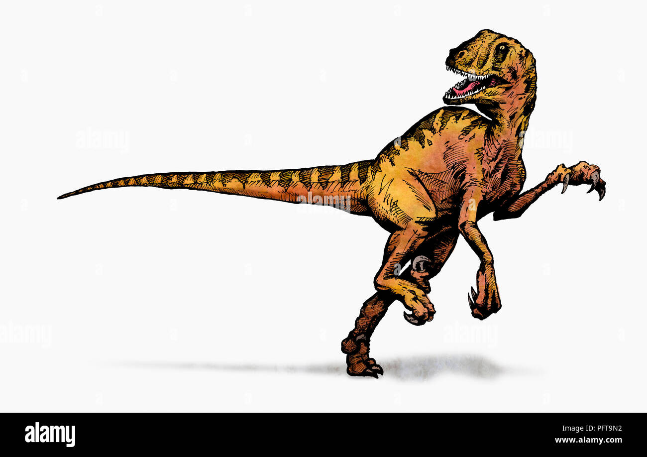 Illustration de dinosaure Banque D'Images