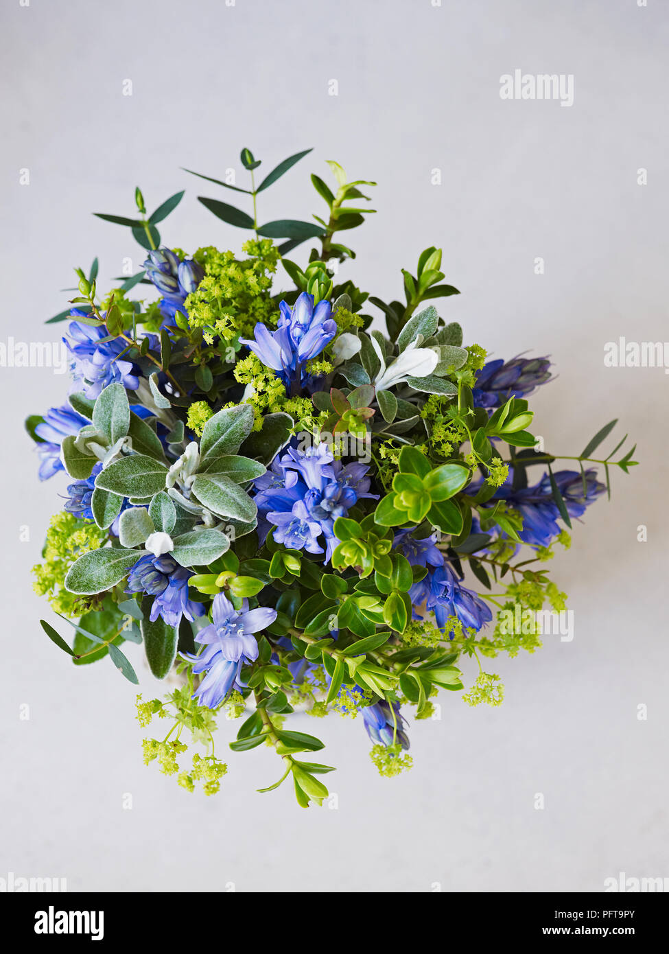 Bouquet de printemps, Alchemilla mollis, bluebell, Senecio, hebe, Eucalyptus parvifolia Banque D'Images