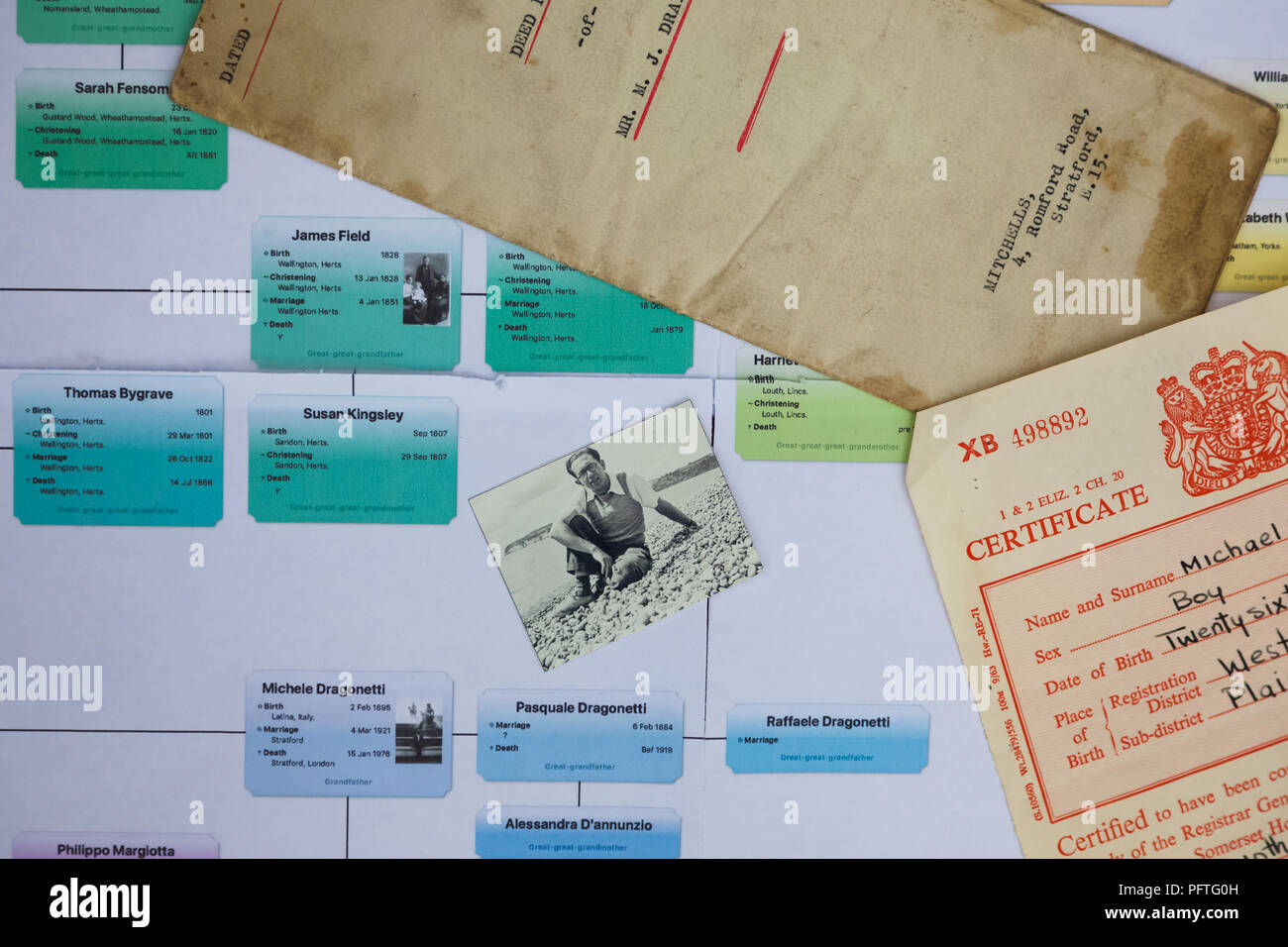 Arbre généalogique famille graphique avec de naturalisation et le certificat de naissance Banque D'Images