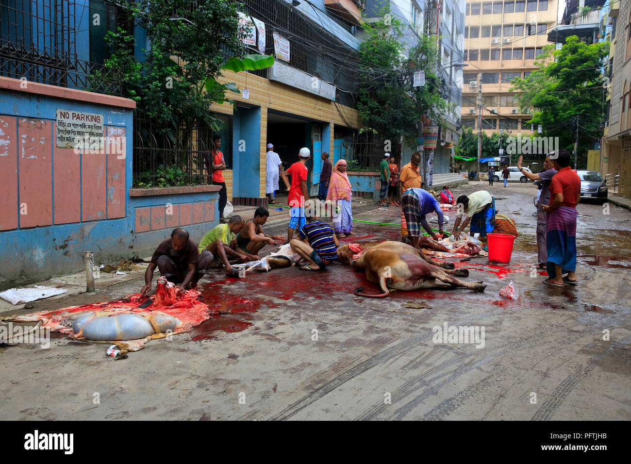 Les musulmans du Bangladesh abattre leur bétail sur la route à Dhaka, la capitale du Bangladesh, le premier jour de l'aïd- Ul-Azha. Dhaka, Banglades Banque D'Images