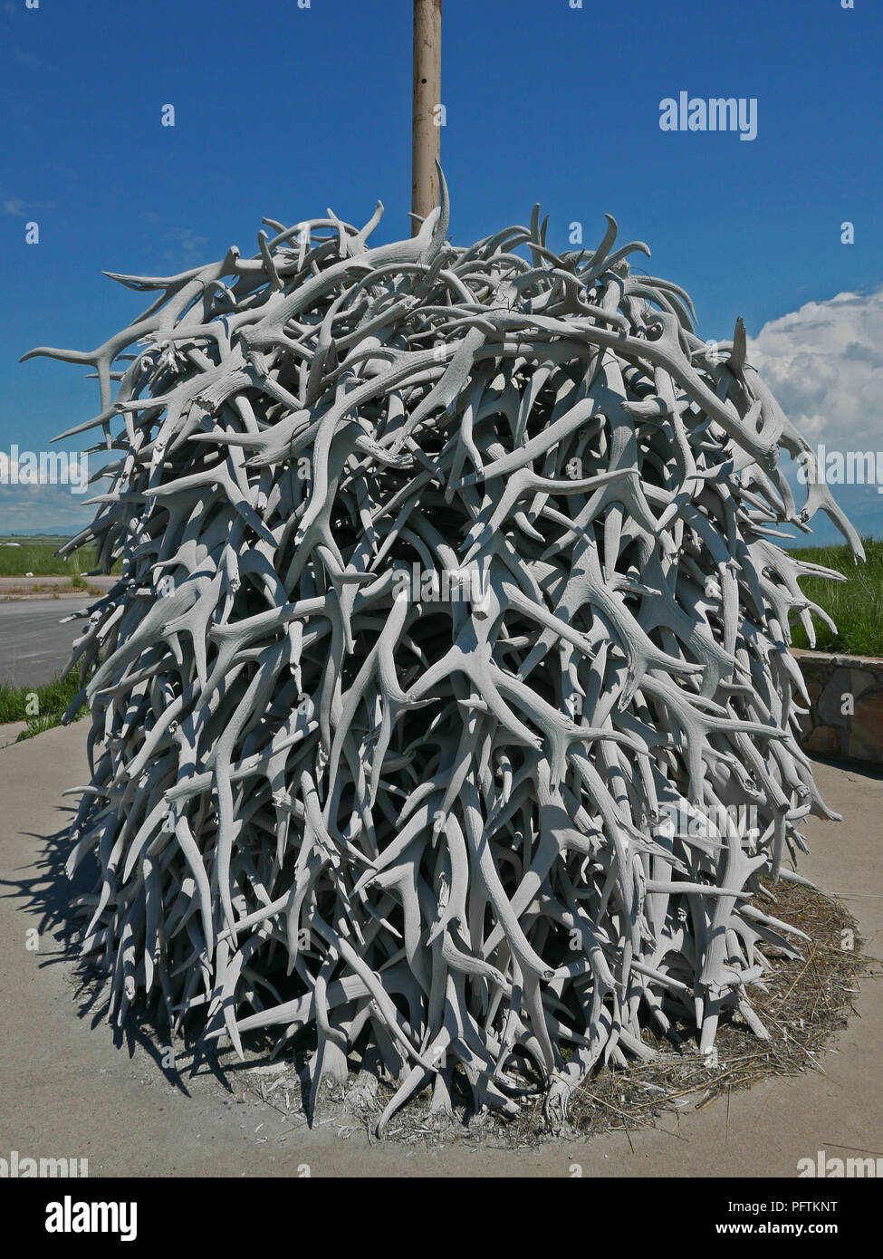 Pile de bois. Charlo, Montana. U.S.A Banque D'Images