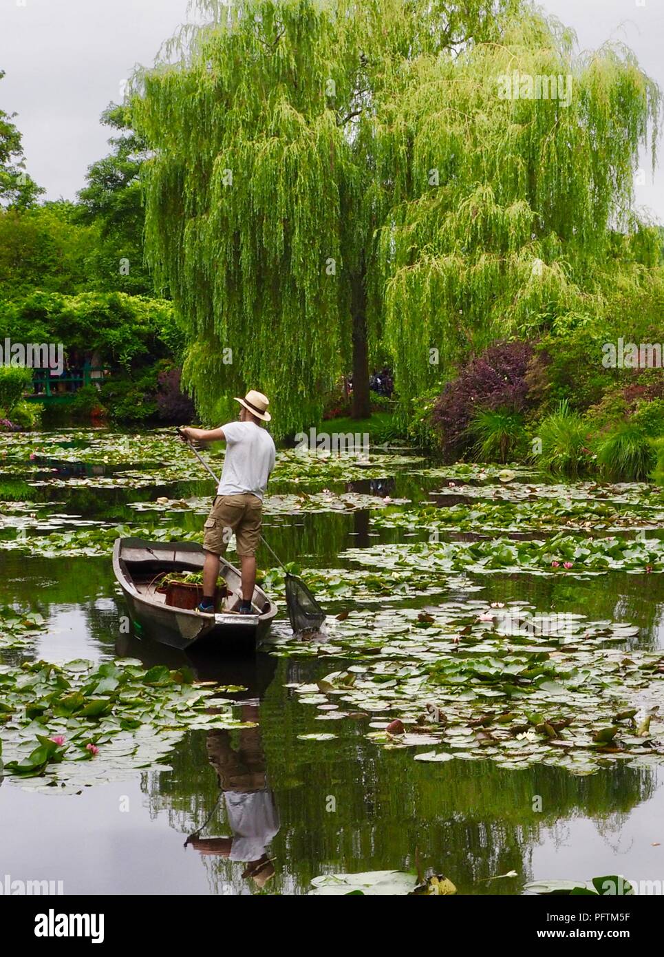 Le jardin de Monet, Giverny Banque D'Images