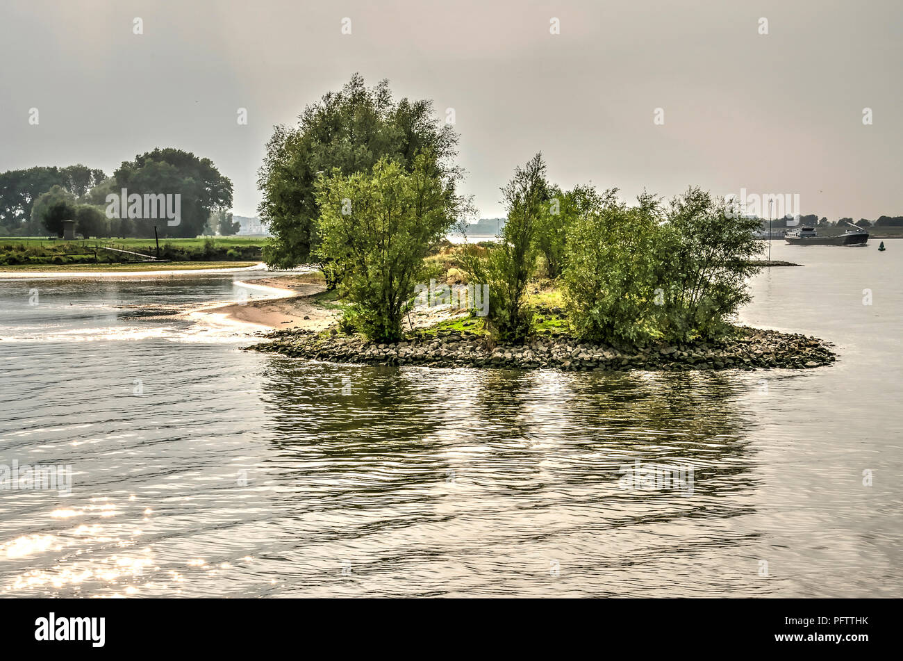 Petite péninsule, avec plages de sable et de rochers et d'arbustes et arbres bas, dans la rivière Waal, près de Shanghai, les Pays-Bas Banque D'Images