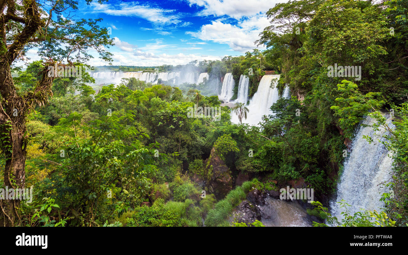 Vue sur la cascade de la rivière Iguazu, situé sur la frontière du Brésil et l'Argentine Banque D'Images