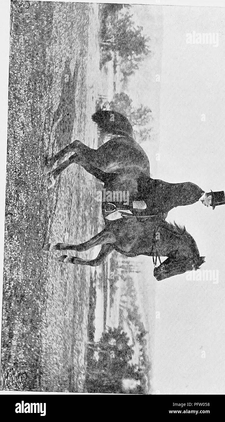 . La rupture et l'équitation, avec l'armée de commentaires. Les chevaux, l'équitation. o. 21 =* numérisés par Microsoft®. Veuillez noter que ces images sont extraites de la page numérisée des images qui peuvent avoir été retouchées numériquement pour plus de lisibilité - coloration et l'aspect de ces illustrations ne peut pas parfaitement ressembler à l'œuvre originale.. Le Fillis, James, 1834-1913. Londres, Hurst et Blackett Banque D'Images