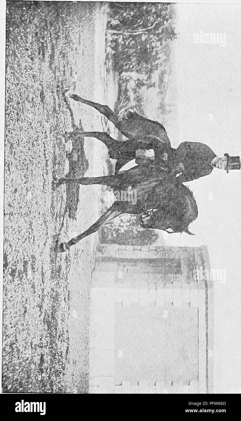 . La rupture et l'équitation, avec l'armée de commentaires. Les chevaux, l'équitation. Numérisé par Microsoft®. Veuillez noter que ces images sont extraites de la page numérisée des images qui peuvent avoir été retouchées numériquement pour plus de lisibilité - coloration et l'aspect de ces illustrations ne peut pas parfaitement ressembler à l'œuvre originale.. Le Fillis, James, 1834-1913. Londres, Hurst et Blackett Banque D'Images