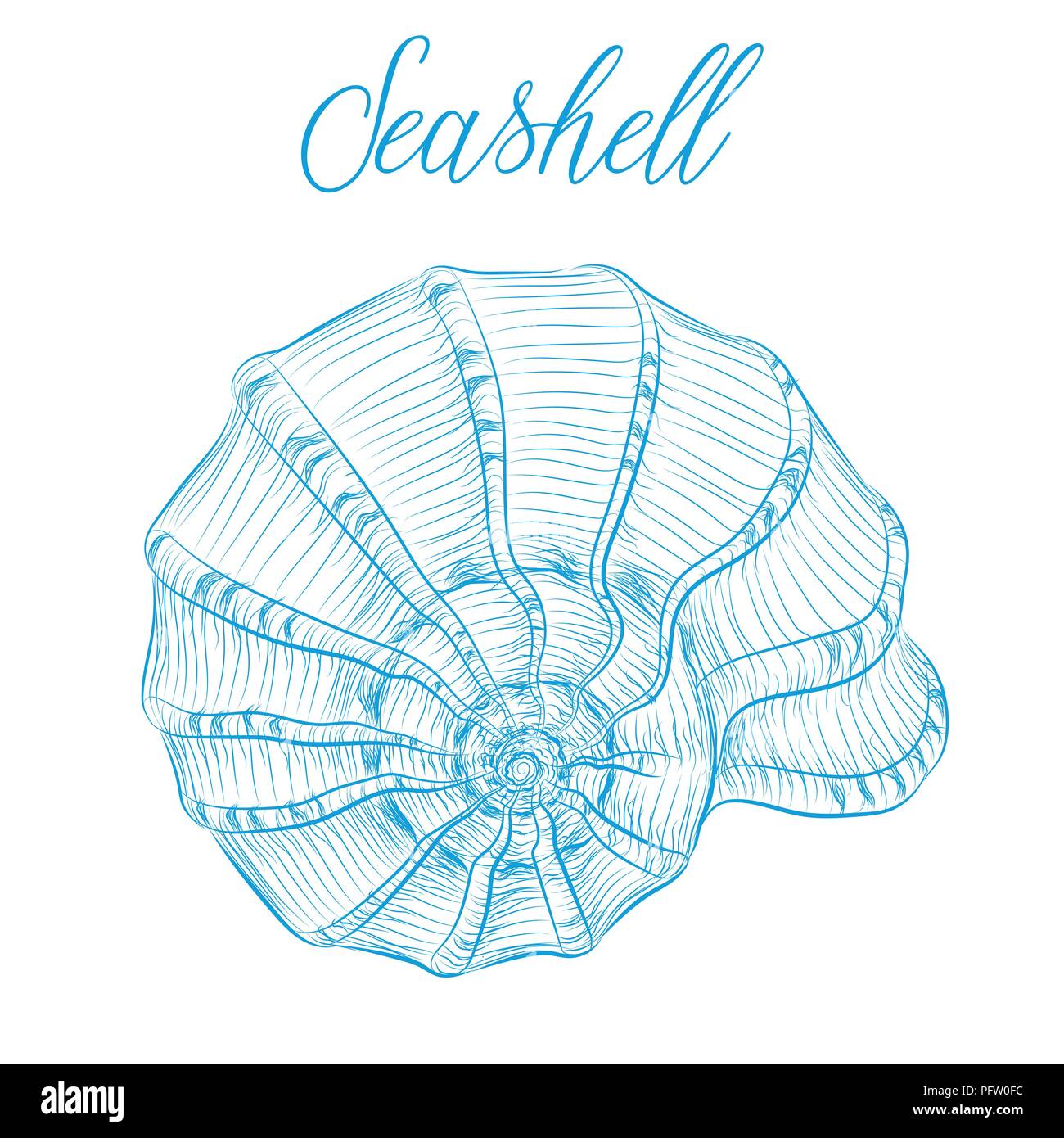 Nautilus Sea Shell Hand drawn vector illustration linéaire bleu.faune marine designer décoration art graphique élément isolé. Parfait pour invitation Illustration de Vecteur