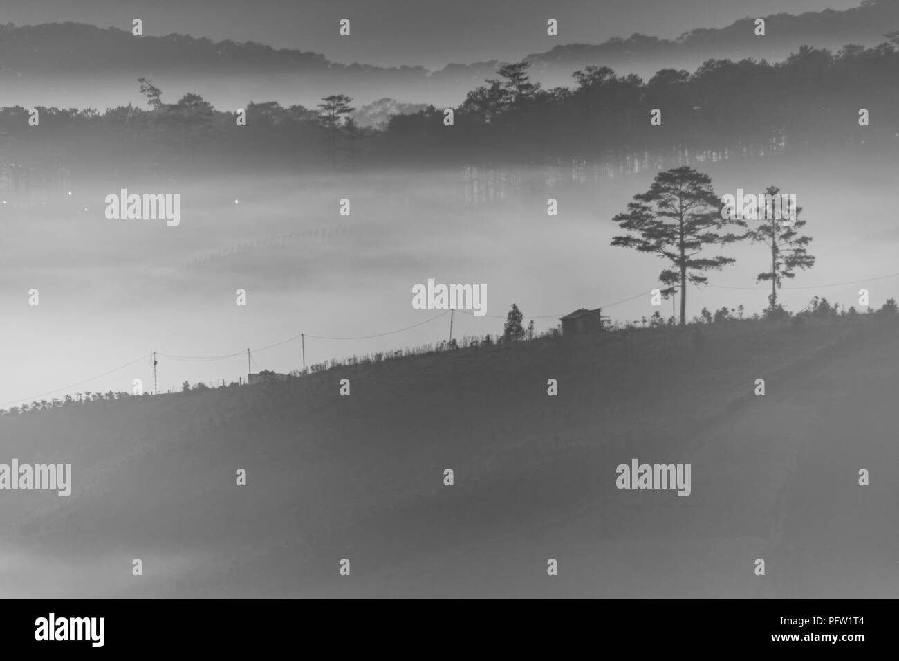 Greats Ciel et nuages du paysage avec du brouillard à l'aube, le lever du soleil, coucher du soleil. forêt de pins dans la brume avec les rayons du soleil, Banque D'Images