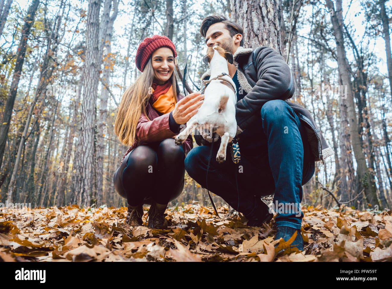 Couple de femme et homme jouant avec leur chien à l'automne Banque D'Images