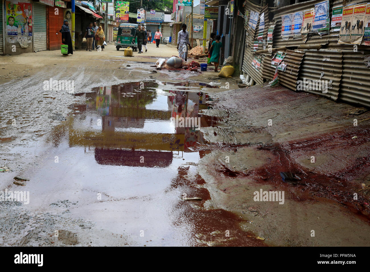 Les musulmans du Bangladesh abattre leur bétail sur la route à Dhaka, la capitale du Bangladesh, le premier jour de l'aïd- Ul-Azha. Dhaka, Banglades Banque D'Images