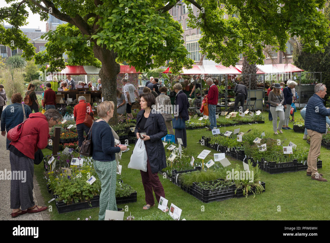 Leiden, Pays-Bas - 12 mai 2018 : marché aux fleurs annuel ayant des usines dans l'Hortus Botanicus Banque D'Images