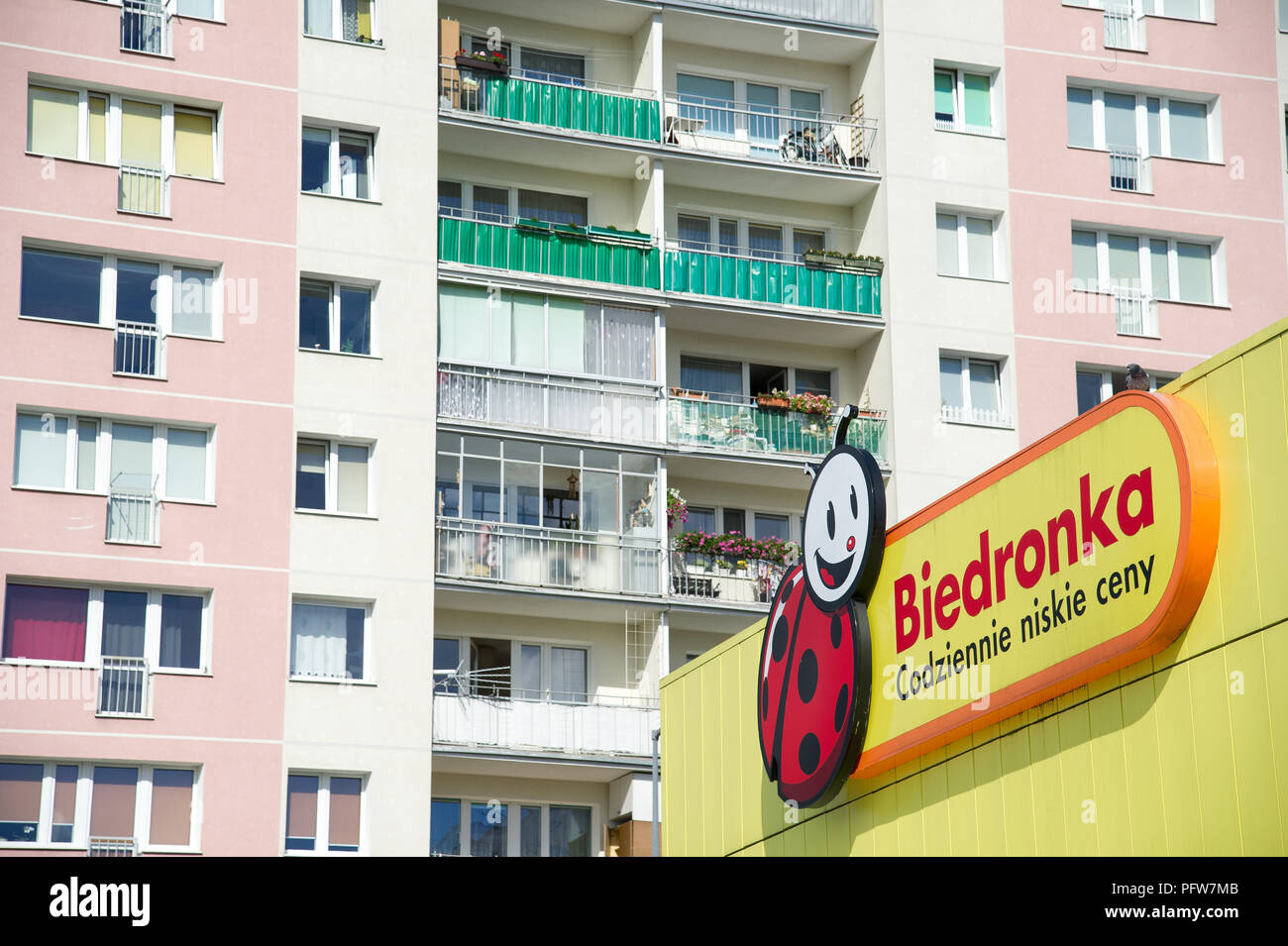 Biedronka (coccinelle) administré par l'entreprise portugaise Jeronimo Martins est la plus grande chaîne de supermarchés en Pologne sans fioritures. Gdansk, Pologne le 12 août Banque D'Images