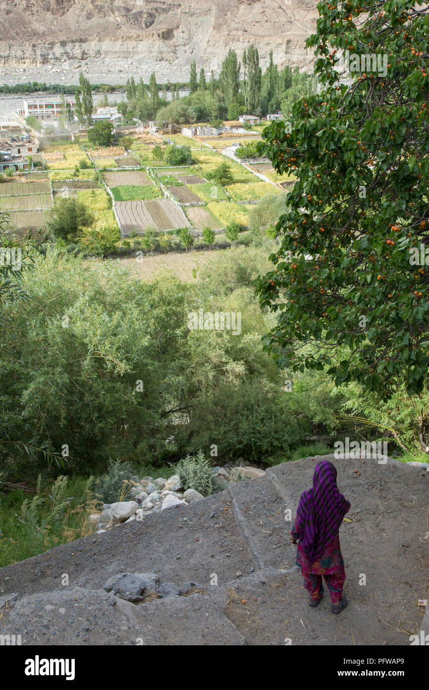 Une femme Chutang donne sur la partie de la vallée, Turtuk la vallée village, fleuves Shyok, Ladakh, le Jammu-et-Cachemire, l'Inde Banque D'Images