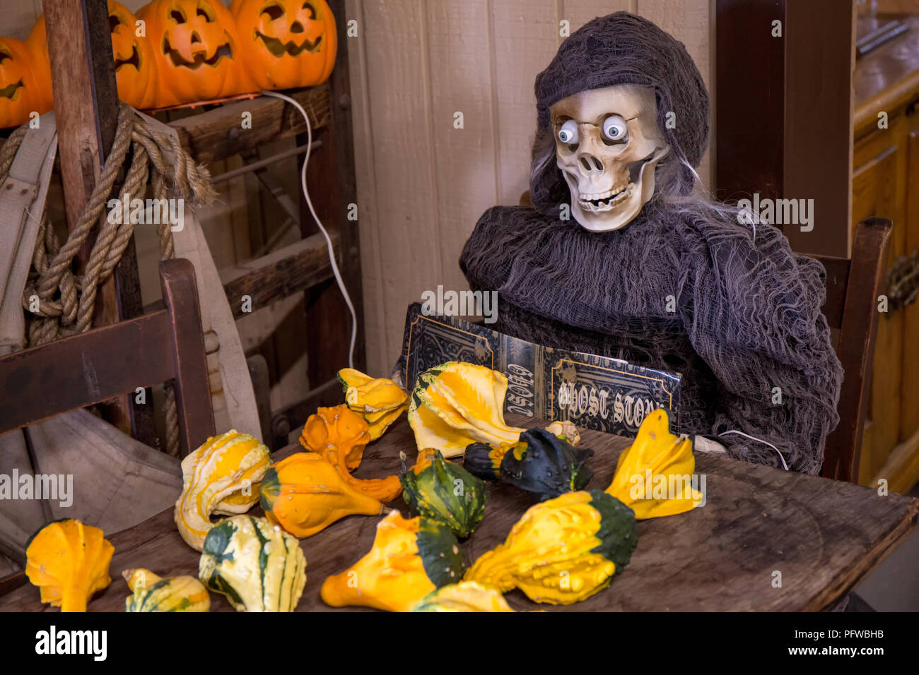 Hood River, Oregon, USA. Décorations d'Halloween d'un squelette de la lecture d'un livre des histoires de fantômes, en face de courges décoratives Banque D'Images