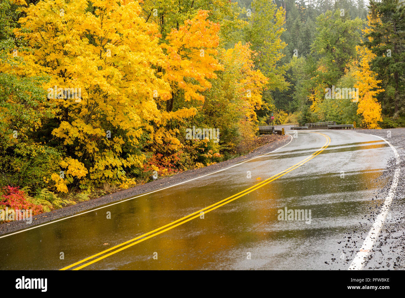 Hood River, Oregon, USA. Beau paysage d'automne vu sur leur fruit Loop Drive un jour de pluie. Banque D'Images