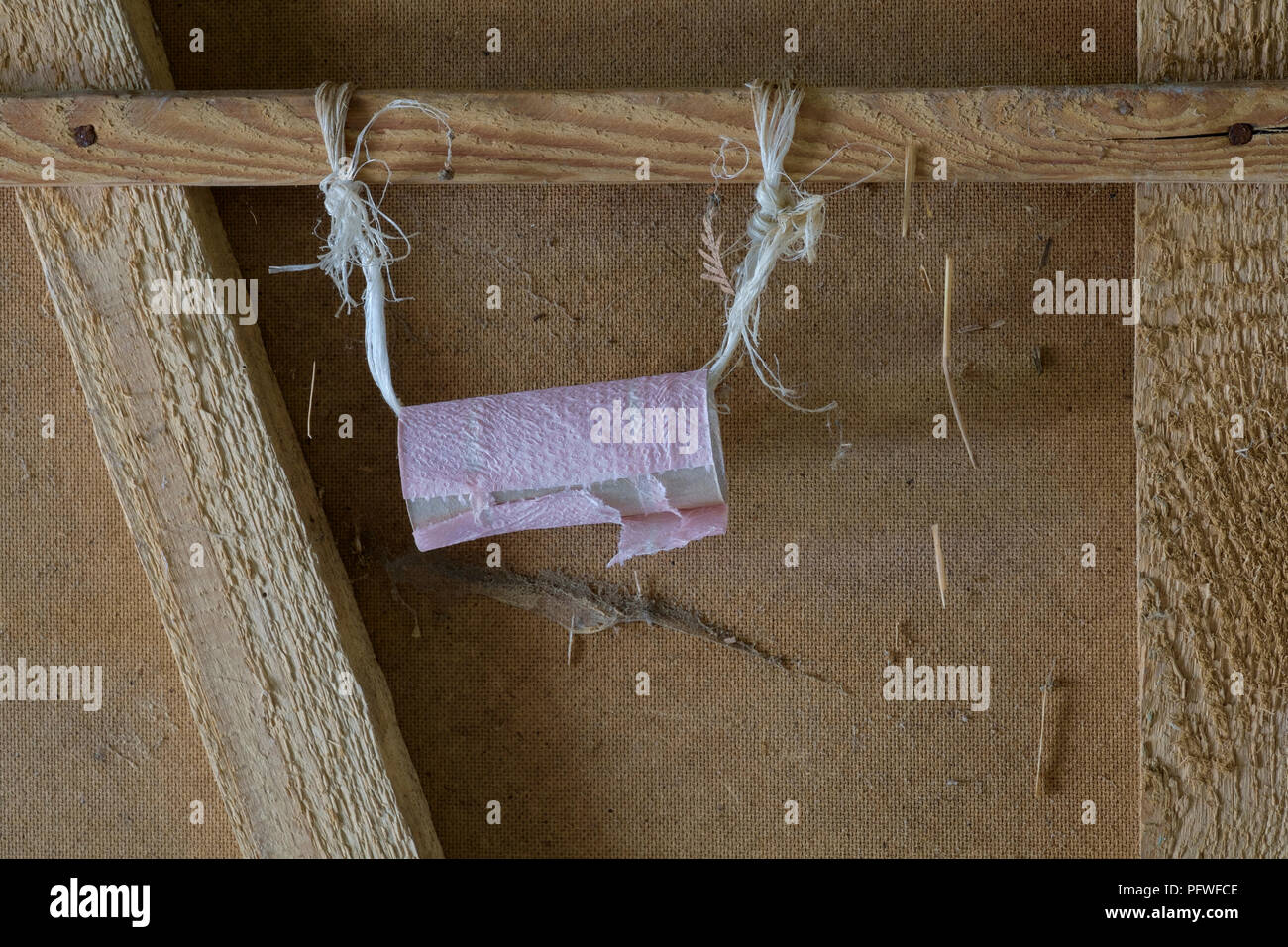 tube de rouleau de toilettes vide suspendu par ficelle sur une porte en bois  Photo Stock - Alamy