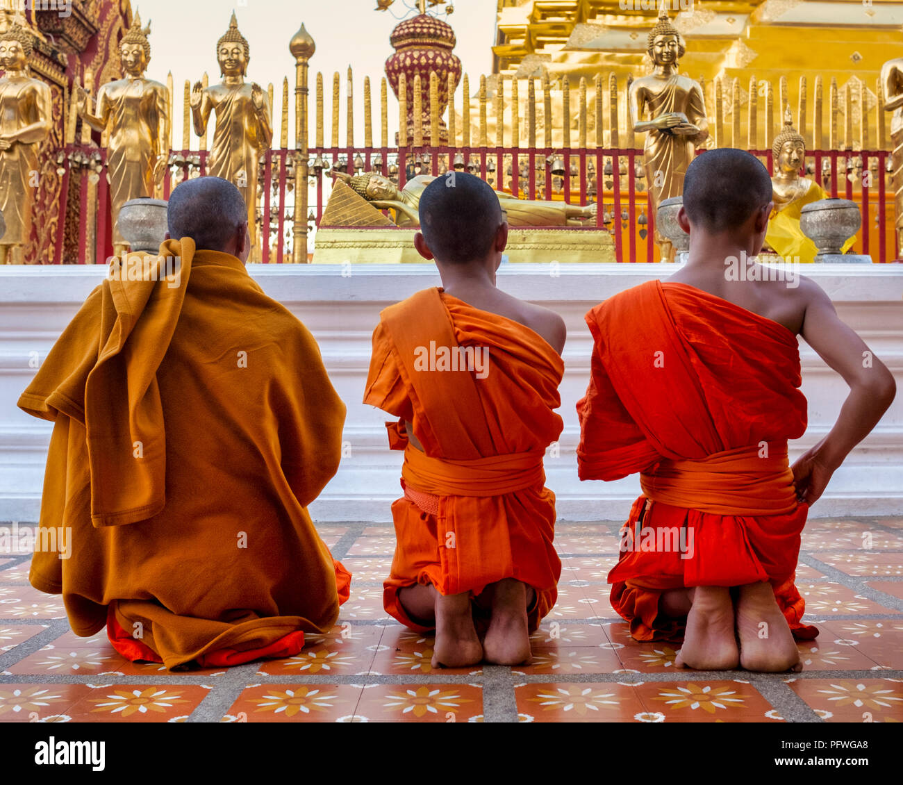 Moines au Wat Phra That Doi Suthep, Chiang Mai, Thaïlande Banque D'Images Moines au Wat Phra That Doi Suthep, Chiang Mai, Thaïlande Banque D'Images
