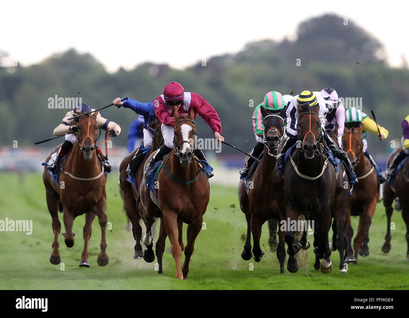 Merveilleux tis monté par Adam Kirby (centre) gagne le pari du ciel et Handicap groupe symphonique Juddmonte durant la Journée internationale de l'Yorkshire Ebor Festival à l''hippodrome de York. ASSOCIATION DE PRESSE Photo. Photo date : mercredi 22 août 2018. Voir l'histoire de New York COURSE PA. Crédit photo doit se lire : Tim Goode/PA Wire Banque D'Images