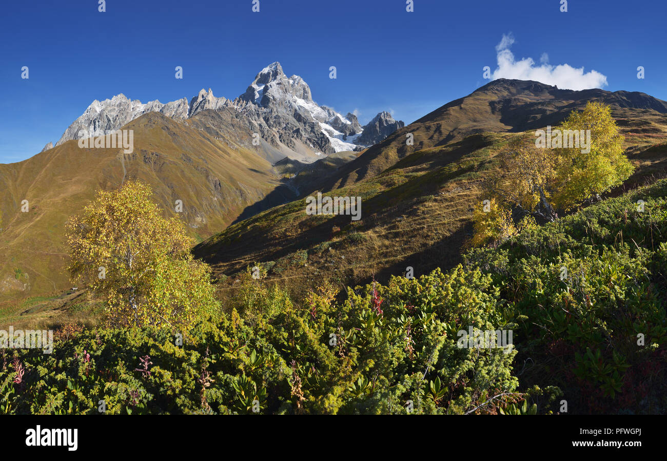 Paysage d'automne. Panorama de la montagne. Journée ensoleillée. Le mont Ushba, principales Caucasian ridge. Zemo Svaneti, Géorgie Banque D'Images
