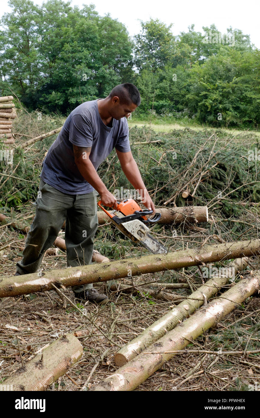 Couper l'homme de bois et de compensation des épinettes zala hongrie Banque D'Images